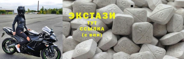 стаф Снежногорск