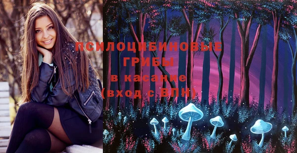 винт Кинешма